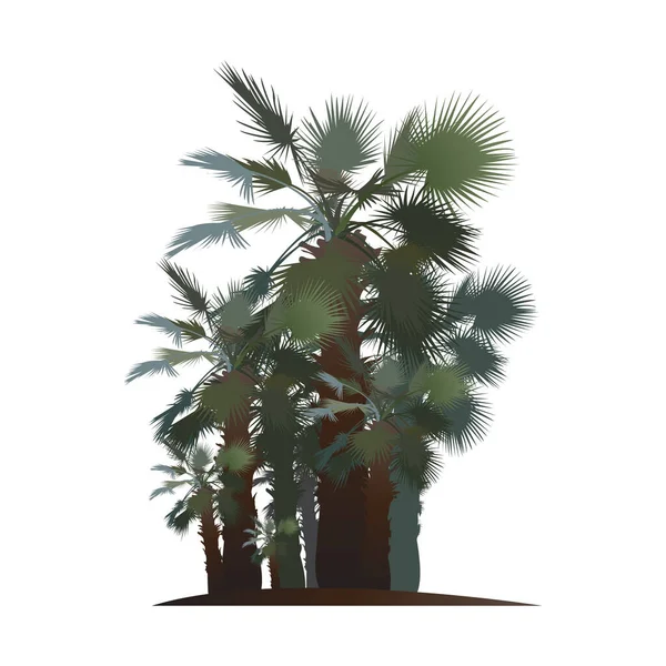 47,369 Palm Oil Tree Images, Stock Photos, 3D objects, & Vectors