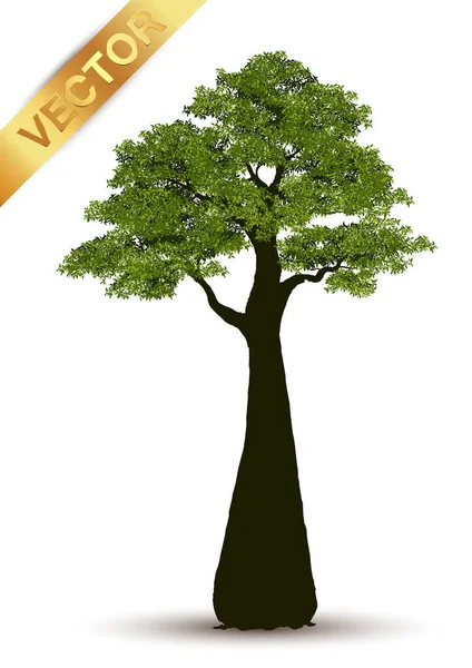 Illustration Realistischer Baum Isoliert Auf Weißem Hintergrund Vektor Kann Verwendet — Stockvektor