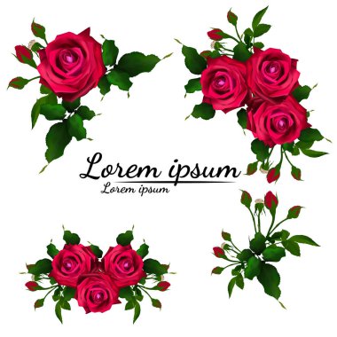 Çiçek açan bitkinin gül çiçeği. Bahçe gülü kırmızı çiçek, yeşil saplı çiçek ve yaprak ikonu romantik çiçek dekoru, düğün buketi ve sevgililer günü tebrik kartı. 