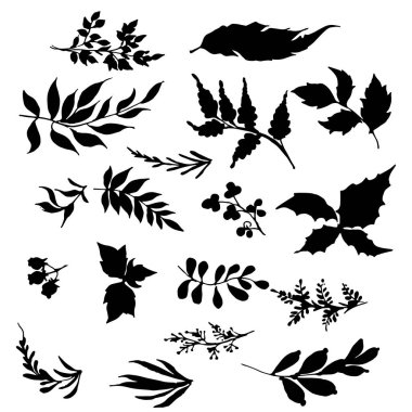 Yaprak koleksiyonu. Soyut Yapraklar. El çizimleri. Çizim, vektör illüstrasyonu.