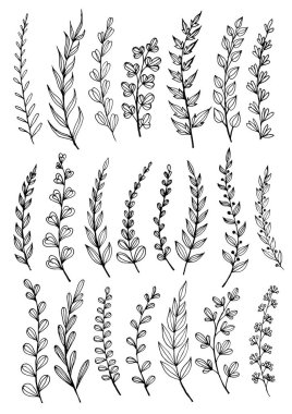 Yaprak koleksiyonu. Soyut Yapraklar. El çizimleri. Çizim, vektör illüstrasyonu.