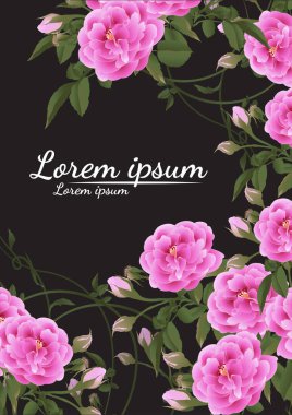 Kırmızı gülleri ve yaprakları olan güzel bir buket. Çiçek aranjmanı. Tasarım tebrik kartı ve düğün davetiyesi, doğum günü, Sevgililer Günü, Anneler Günü ve diğer tatiller..
