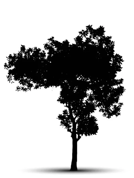 Tree Silhouette Isolated White Background — Stock Vector