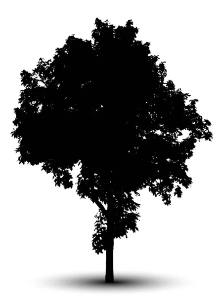 Tree Silhouette Isolated White Background — Stock Vector