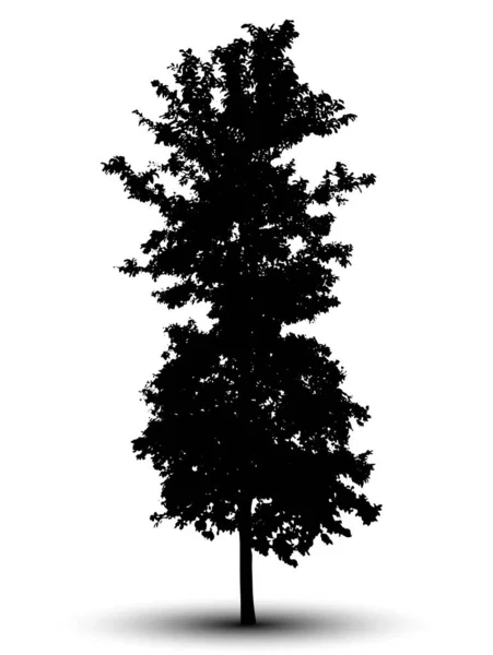 Silhouette Arbre Isolé Sur Fond Blanc — Image vectorielle