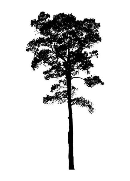 Silhouette Arbre Isolé Sur Fond Blanc — Image vectorielle