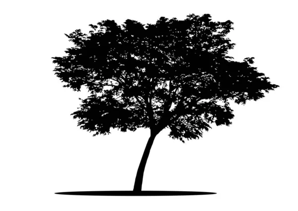 Silueta Árbol Aislada Sobre Fondo Blanco — Archivo Imágenes Vectoriales