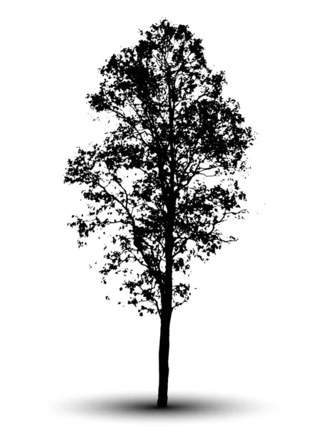 Silhouette Arbre Isolé Sur Fond Blanc — Image vectorielle