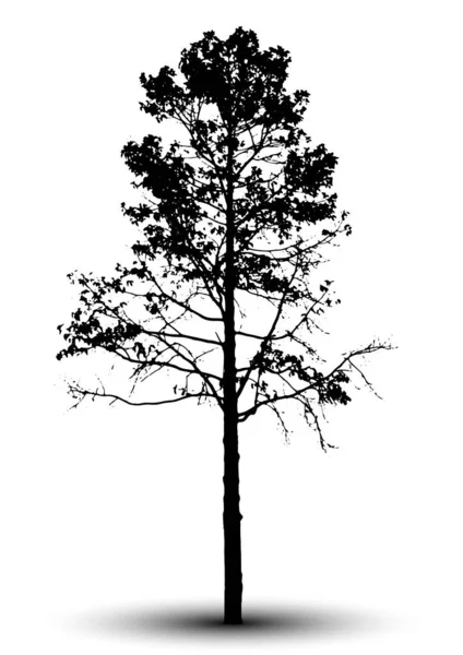 Silueta Árbol Aislada Sobre Fondo Blanco — Vector de stock