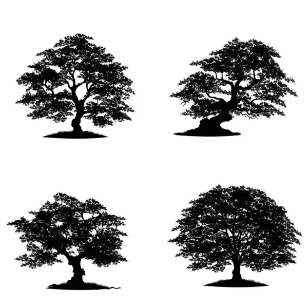 Tree Silhouette Isolated White Background — Stock Vector