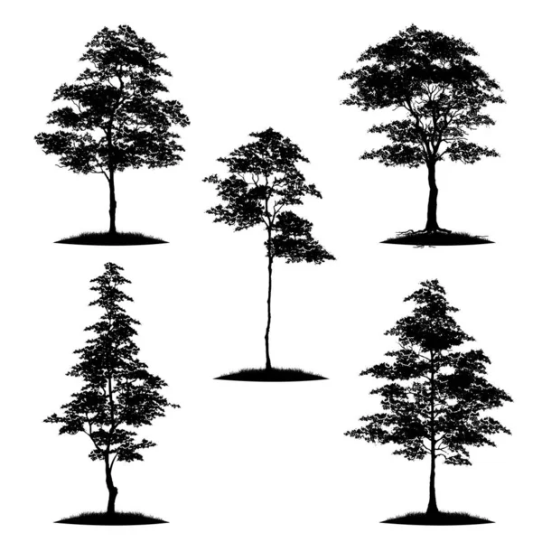 Tree Silhouette Isolated White Background — Stock Vector