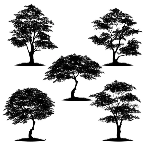 Silueta Árbol Aislada Sobre Fondo Blanco — Vector de stock