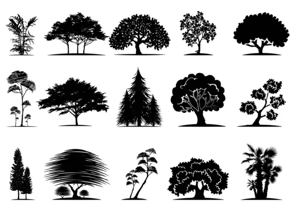 Silhouette Arbre Isolé Sur Fond Blanc — Image vectorielle