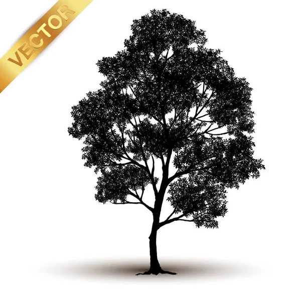Siluet Pohon Diisolasi Latar Belakang Putih - Stok Vektor