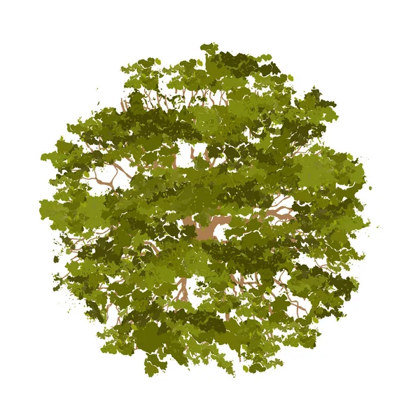 ランドスケープベクトル図のための木トップビュー — ストックベクタ