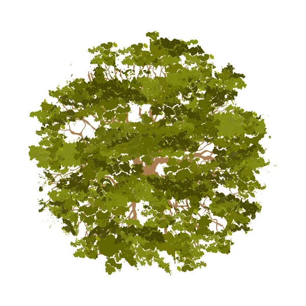 Arbres Vue Dessus Pour Illustration Vectorielle Paysage — Image vectorielle