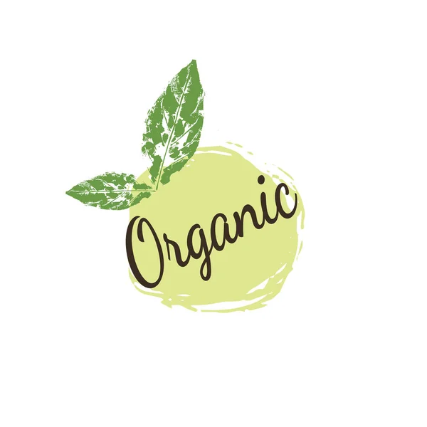 Alimentos Orgânicos Ícones Produtos Agrícolas Frescos Naturais Coleta Elementos Para — Vetor de Stock