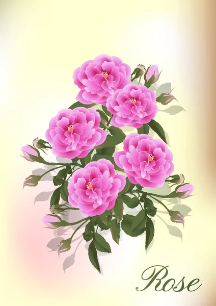 Fiore Rosa Pianta Fiorente Rosa Giardino Icona Isolata Fiori Rossi — Vettoriale Stock