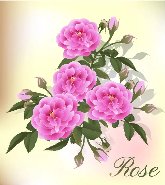 Fiore Rosa Pianta Fiorente Rosa Giardino Icona Isolata Fiori Rossi — Vettoriale Stock