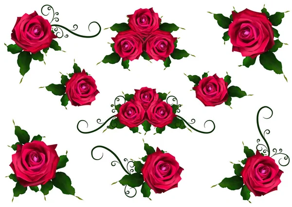 Rosa Flor Planta Floreciente Jardín Rosa Aislado Icono Flor Roja — Vector de stock