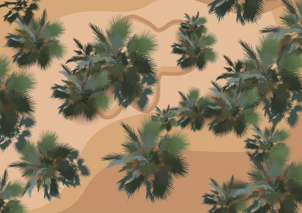 Вид Сверху Город Пустыней Песчаными Дюнами Камнями Деревьями — стоковый вектор