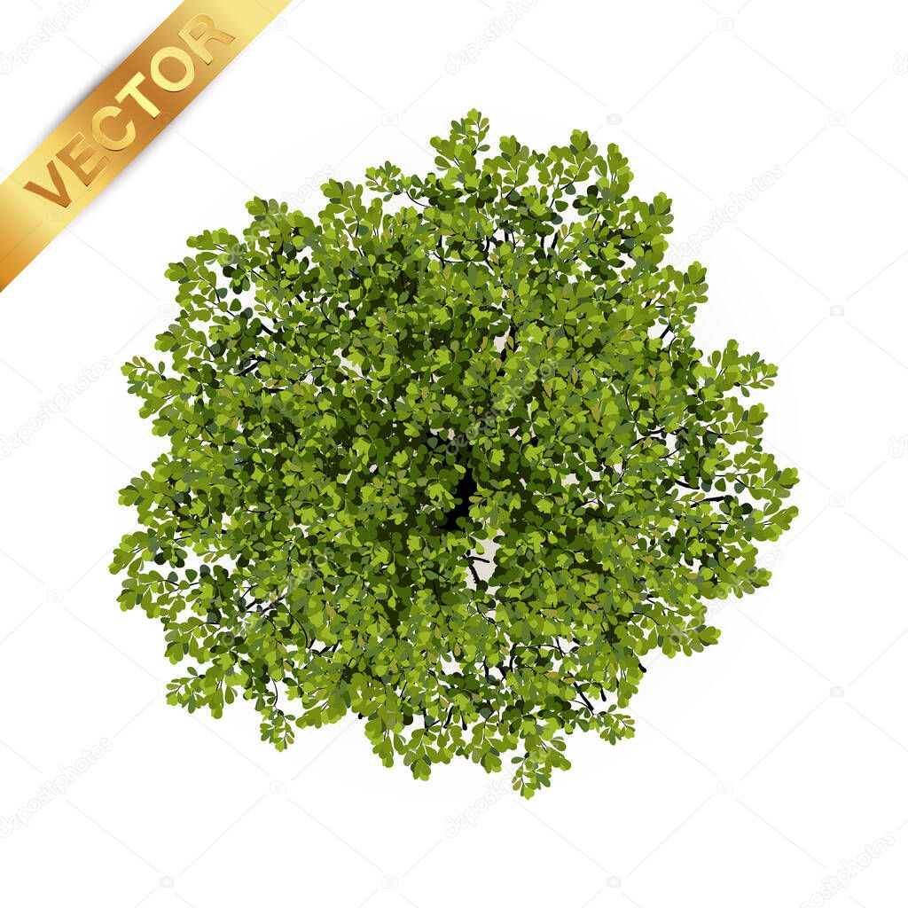 Tree top view for landscape vector illustration.