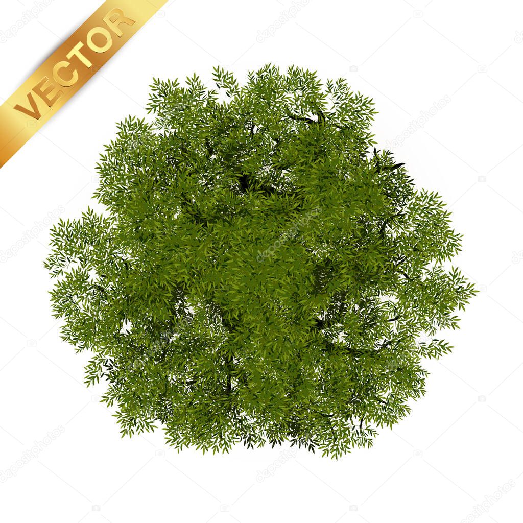 Tree top view for landscape vector illustration.