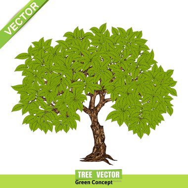 Beyaz arka planda güzel bir ağaç