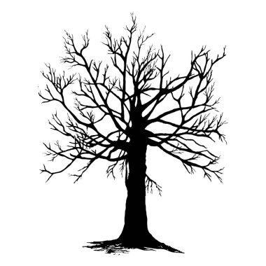 Beyaz arka planda ağaç siluetleri. Vektör illüstrasyonu.