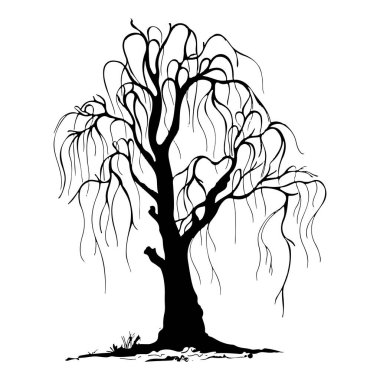 Beyaz arka planda ağaç siluetleri. Vektör illüstrasyonu.