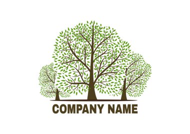 Beyaz arka planda güzel bir ağaç