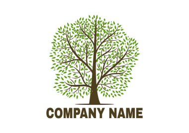 Beyaz arka planda güzel bir ağaç