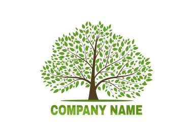 Beyaz arka planda güzel bir ağaç