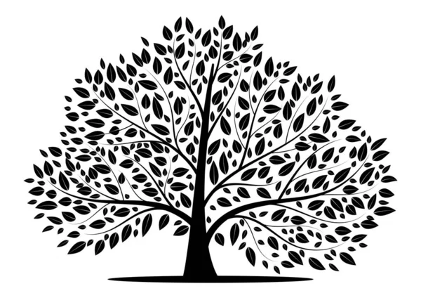 Siluetas Árbol Sobre Fondo Blanco Ilustración Vectorial — Vector de stock