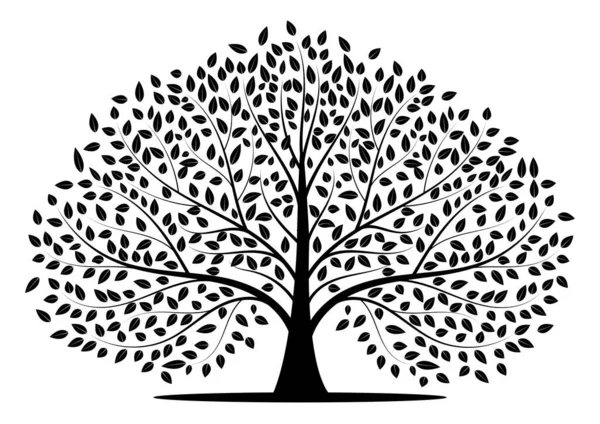 Siluetas Árbol Sobre Fondo Blanco Ilustración Vectorial — Vector de stock