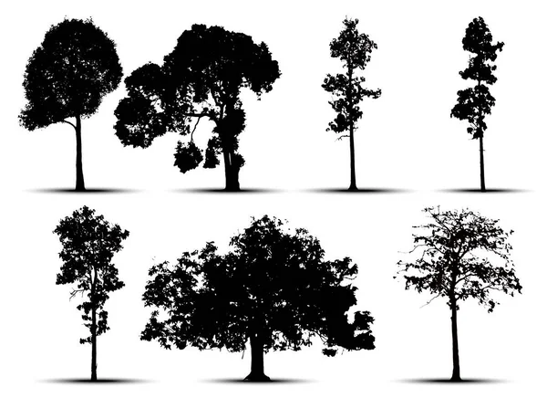 白い背景の木のシルエット ベクターイラスト — ストックベクタ