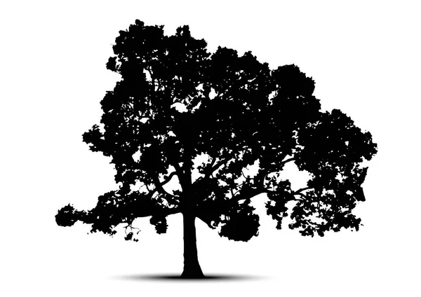 Σιλουέτες Δέντρων Λευκό Φόντο Εικονογράφηση Διανύσματος — Διανυσματικό Αρχείο
