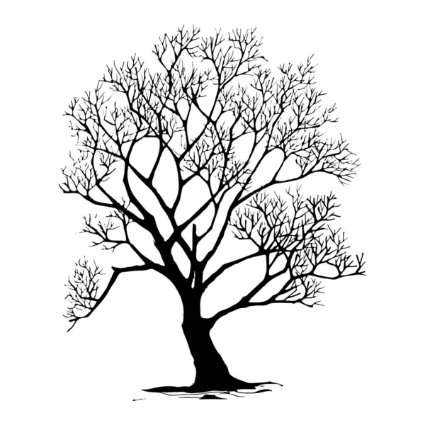 Siluetas Árbol Sobre Fondo Blanco Ilustración Vectorial — Vector de stock