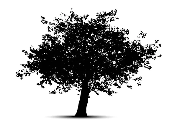 Träd Silhuetter Vit Bakgrund Vektorillustration — Stock vektor