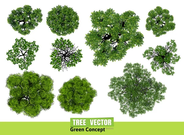 Árvores Vista Superior Para Ilustração Vetor Paisagem — Vetor de Stock