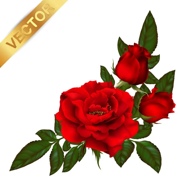 Gyönyörű Csokor Vörös Rózsákkal Levelekkel Virágos Elrendezés Design Üdvözlőlap Meghívó — Stock Vector