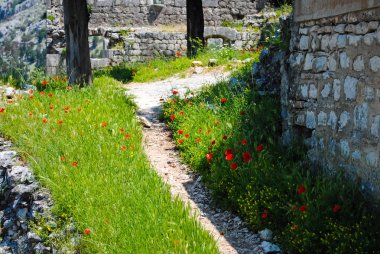 gündüz güzel çiçeklere görünümünü