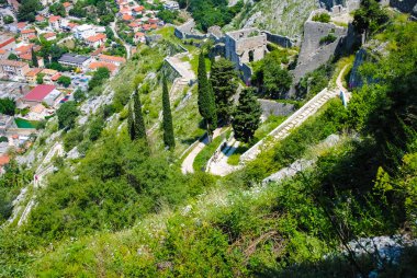 scenic beauty of Montenegro at daytime 