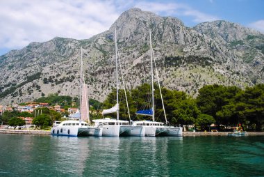Kotor Kalesi gündüz, defne görünümünden