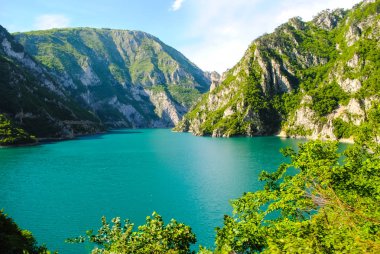 pitoresk Tara kanyonlar ana akım içine akan nehir