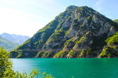 pitoresk Tara kanyonlar ana akım içine akan nehir