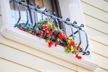 Penceresinde güzel kırmızı çiçekler