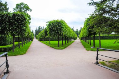 Yeşil park Tsarskoye Selo St. Petersburg, Rusya Federasyonu 