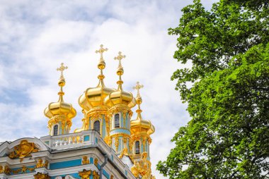 St Petersburg Tsarskoye Selo Sarayı