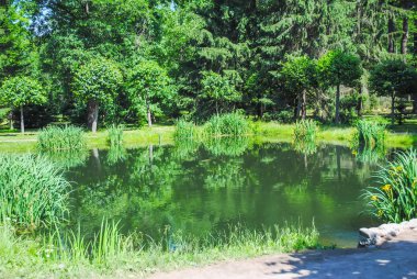 Rusya, Saint-Peterburg - 24 Haziran 2013: Peterhof alınan ziyaretçiler birçok sergiler restorasyon sonra. 